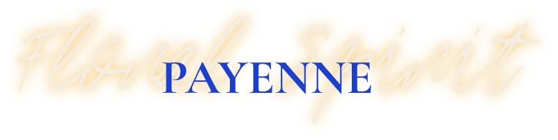Atelier Payenne Fleurs Eternelles Dax Logo Header