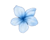 Atelier Payenne Fleurs Eternelles Dax Fleur Removebg Preview